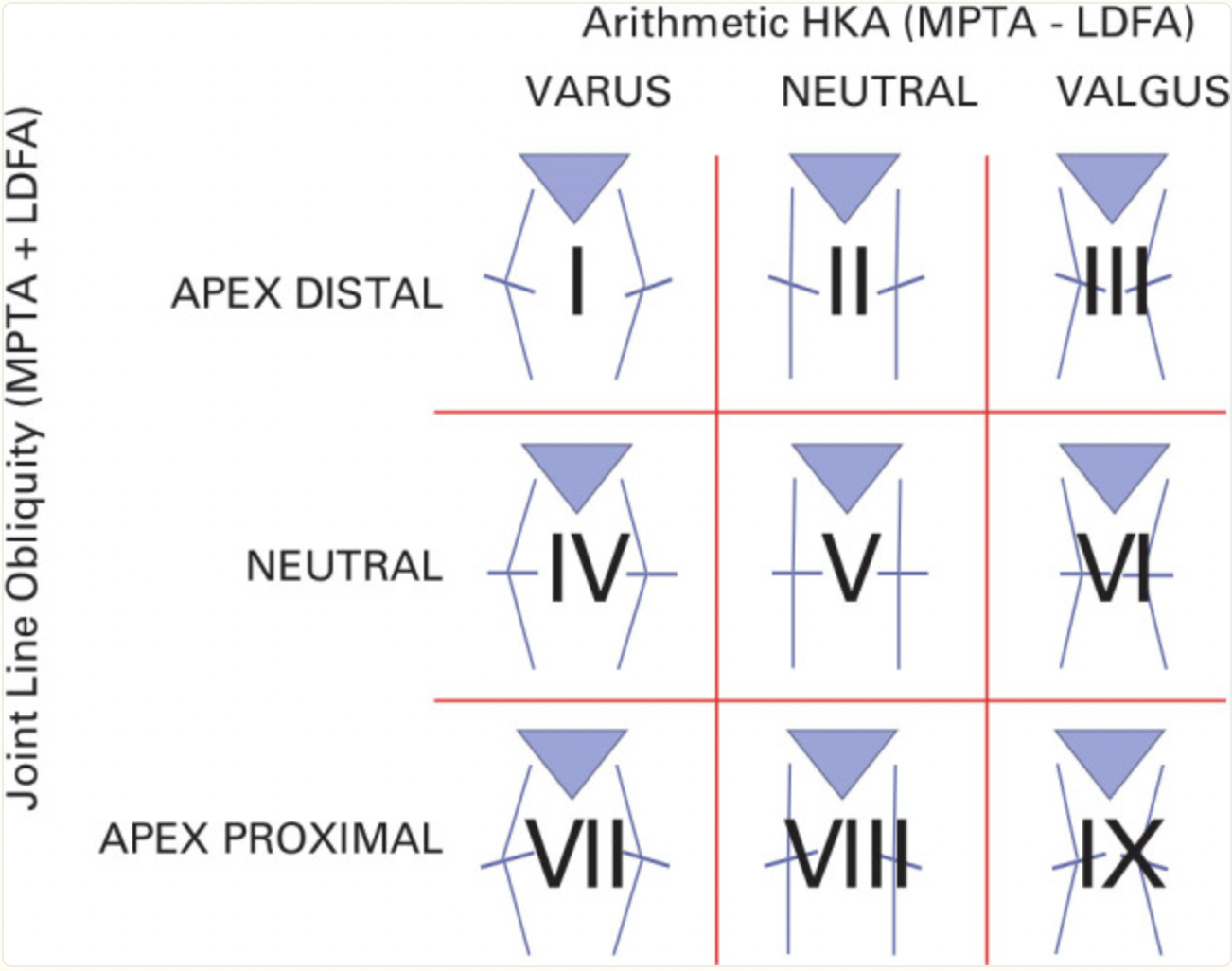 Coronal Plane Alignment of the Knee (CPAK) classification